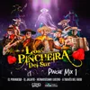 Pinche Mix 1