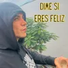 About Dime si eres feliz Song