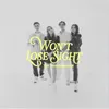 About Won't Lose Sight Song