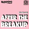 About To Do List (After The Breakup) [feat. Findlay] Song