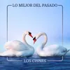 Los Cisnes