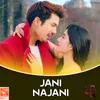 About Jani Najani (From "Kri") Song