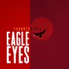 About Eagle Eyes Song
