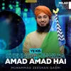 About Ye Kis Shehnsha-E-Wala Ki Amad Amad Hai Song