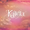 About Karera Song