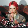 About Blossom Song