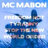 About Freedom Not Tyranny: Stop The New World Order Song