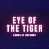 About Eye Of The Tiger Song