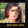 About Bhauji Tohar Bahini Song