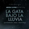 About La Gata Bajo La Lluvia Song