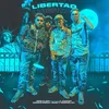 About Libertad Song