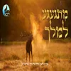 About מתגעגע למלך Song