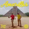 About Amarillos Song