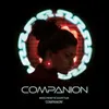 About Companion Song
