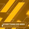 About Everything We Need Song