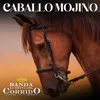 About Caballo Mojino Song