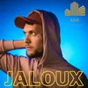 About Jaloux Song