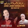 About Zarah Zarah Karbala Ka Roo Raha Hai Song