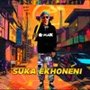 About Suka Ekhoneni Song