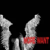 About More Want Song