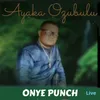 About onye Punch Song