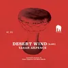 About Desert Wind Song