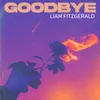 About GOODBYE Song