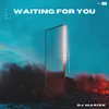 About Waiting For You Song