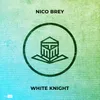 About White Knight Song