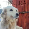 Ternura