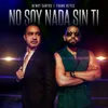 About No Soy Nada Sin Ti Song
