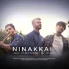 About Ninakkai Song