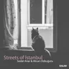 Streets of Istanbul