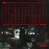 About PROPINA Song