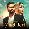 About Yaad Teri Song