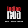About Shiva Tandava Stotram - Panturavali - Adi talam Song