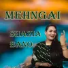 About Mehngai Song