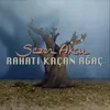 About Rahatı Kaçan Ağaç Song