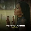 About Perro Amor Song