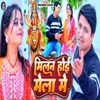 About Milan Hoi Mela Me Song