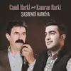 Şaşbendî Harkîya