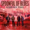 About Blood Red Tears Song
