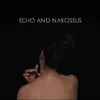 Echo and Narcissus