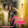 About Teri Payal (Remix) Song