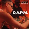 About JULI - Q.A.P.M. Song