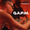 JULI - Q.A.P.M.