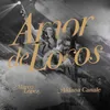 About Amor de Locos Song
