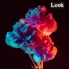 About Look Song