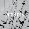 About Dreams Song