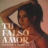 About Tu Falso Amor Song